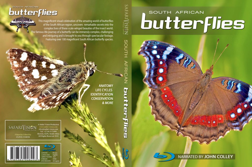 South African Butterflies A Documentary The Conservation Imperative