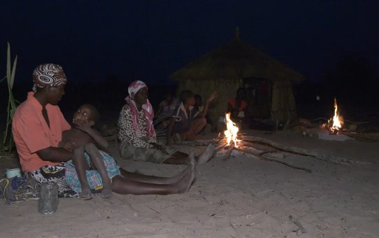 VOICES FROM THE FRONTLINE: COMMUNITIES AND LIVELIHOODS IN BOTSWANA.