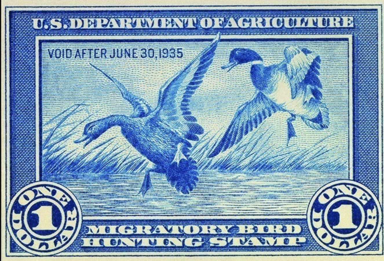 The American Waterfowlers’ Stamp on Wetland Conservation